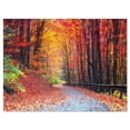 thumbnail image 1 of Designart Road in Beautiful Autumn Forest Canvas Wall Art, 1 of 4