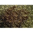 thumbnail image 4 of oneOone Cotton Silk Fabric Floral Texture Print Fabric by Yard 42 Inch Wide, 4 of 4