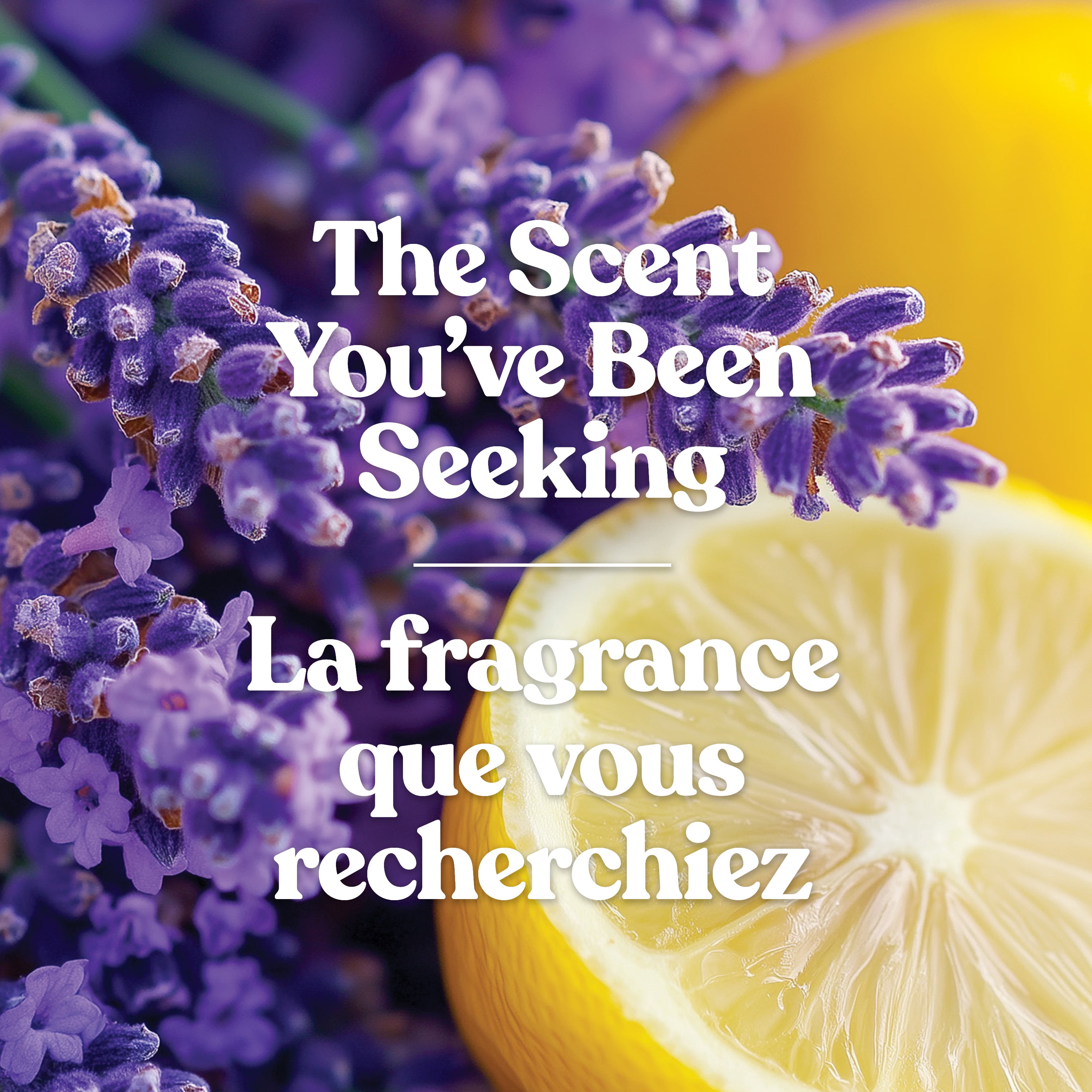 Bougie parfumée Yankee Candle Signature, bougie en pot format grand