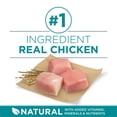 thumbnail image 4 of Purina ONE SmartBlend Large Breed Formula Chicken, Dry Dog Food 17.5kg, 4 of 9
