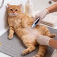 thumbnail image 5 of TIELUTT Petit Poussoir pour Poils de Chat Tondeuse Poussoir Tondeuse pour Chat Rasoir, 5 of 5