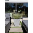 thumbnail image 3 of NOB22 PLNTR GR(X2) - FRENCH, 3 of 9