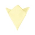 thumbnail image 1 of INSPIRE CHIC Mouchoirs à Poche Carrés pour Hommes Couleur Unie Jaune Taille Unique, 1 of 4