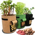thumbnail image 1 of 3Pcs Plant Bags Nonwoven Cloth Pot Gardening Vegetable,Potato Planter Bag, 1 of 7