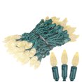 thumbnail image 1 of Novelty Lights 24 Feet 70 LED Warm White Outdoor Christmas String Lights, 1 of 7