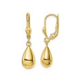thumbnail image 1 of 10K Yellow Gold Polished Fancy Dangle Leverback Earrings, 1 of 4