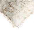 thumbnail image 3 of BELTON FAUX FUR PILLOW 18"X18" 2-PACK, 3 of 4