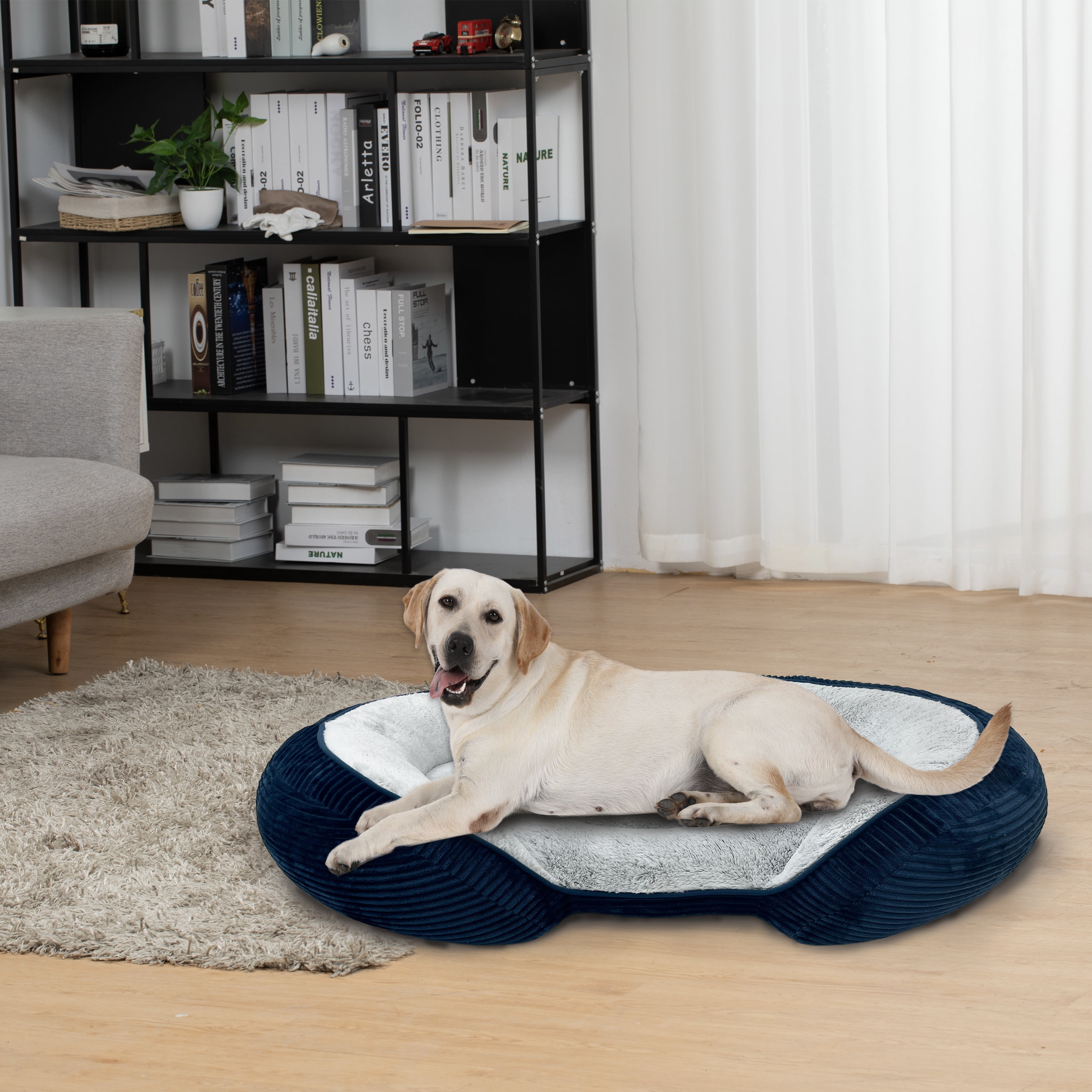 Vibrant Life Lit pour chien ovale de 38po