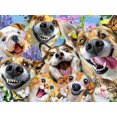 thumbnail image 4 of Ceaco Companion Selfies 500-Piece Interlocking Jigsaw Puzzle for Adults Ages 14+, 4 of 6