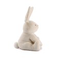 thumbnail image 2 of Baby GUND Flora The Bunny Animated Plush Stuffed Animal Toy, Cream, 12", 2 of 7