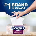 thumbnail image 5 of Scotties Supreme, 3-Ply Facial Tissue,18 Boxes, 81 Tissues Per Box, 5 of 5
