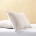 thumbnail image 3 of 2pk Big Lion Zig Zag Pillows, 3 of 4