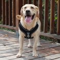 thumbnail image 4 of Harness Vest For Large Dog Breathable No Pull Dog Training Harness Adjustable Reflective Pet Harnesses For Pitbull Labrador Collars，, 4 of 13