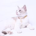 thumbnail image 4 of Collier de Chien Décoratif Accrocheur Joli Chien Chat Collier Pendentif, 4 of 5