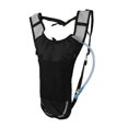thumbnail image 3 of HLONK Sac d'Hydratation Léger - Sac à Dos d'Eau Respirant et Multifonctionnel avec Paille de 2L pour Course Randonnée Cyclisme - Argent, 3 of 8