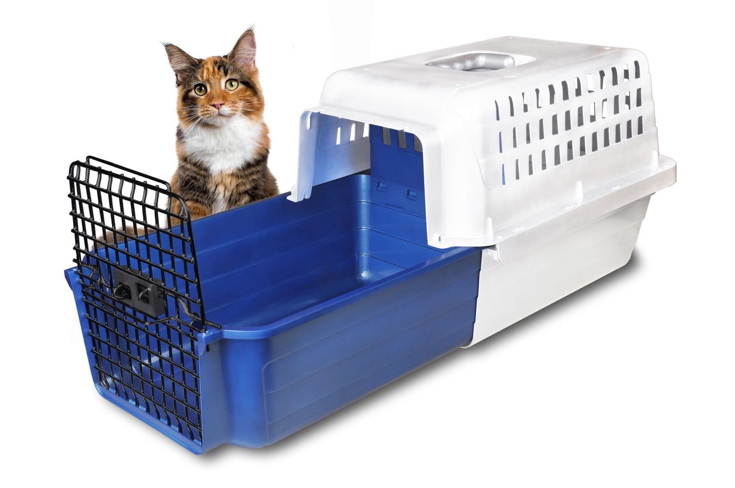 Calm Carrier for Cats