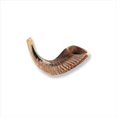 thumbnail image 1 of Holy Land Gifts 4878 Shofar Rams Horn D 8 In. 10 In., 1 of 7