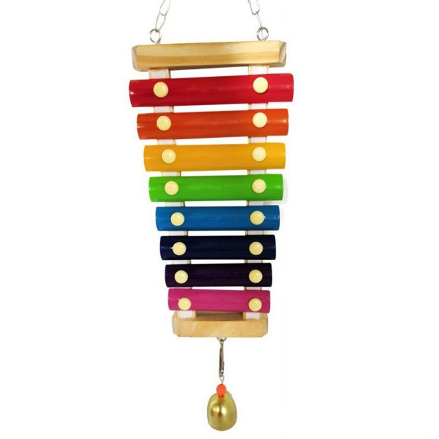 Chicken Xylophone And Veggies Skewer Fruit Holder Set For Chicken Toy