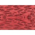 thumbnail image 1 of Ahgly Company Tapis d'Intérieur Rectangulaires Transitionnels Rouges Lavables à la Machine, 5 Pieds x 7 Pieds, 1 of 7