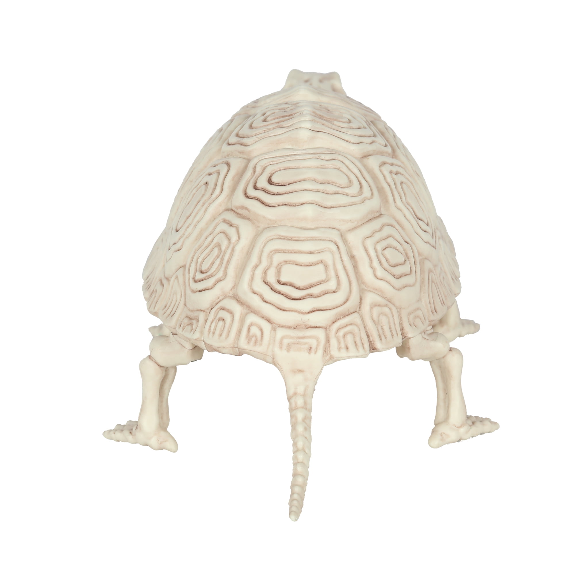Way To Celebrate Halloween Turtle Skeleton 5.25"H