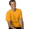 thumbnail image 1 of Hanes T-shirt à Manches Courtes pour Hommes 5,2 oz, L, Or, 1 of 3