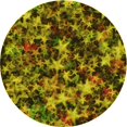 thumbnail image 1 of Ahgly Company Machine Washable Indoor Round Transitional Brown Area Rugs, 4' Round, 1 of 7