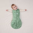 thumbnail image 5 of ergoPouch - Cocoon Swaddle Sack 2.5tog, 5 of 5