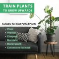 thumbnail image 2 of STIFH Moss Pole 26 Inch for Monstera and Climbing Indoor Plants with 15.4 Inch Coco Plant Pole (2 Pack), 2 of 4