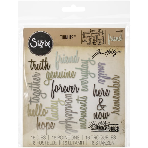 Sizzix Thinlits Dies 16/Pkg By Tim Holtz-Friendship Script Words