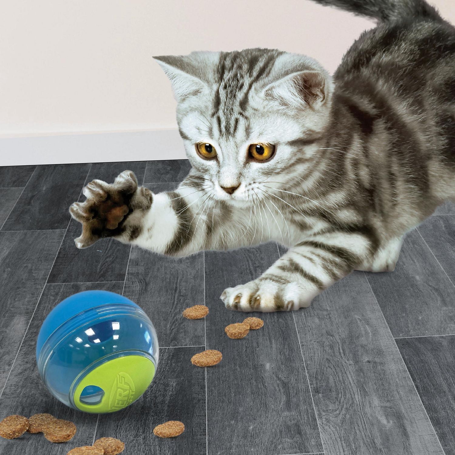 Balle a gateries Nerf Cat pour chats