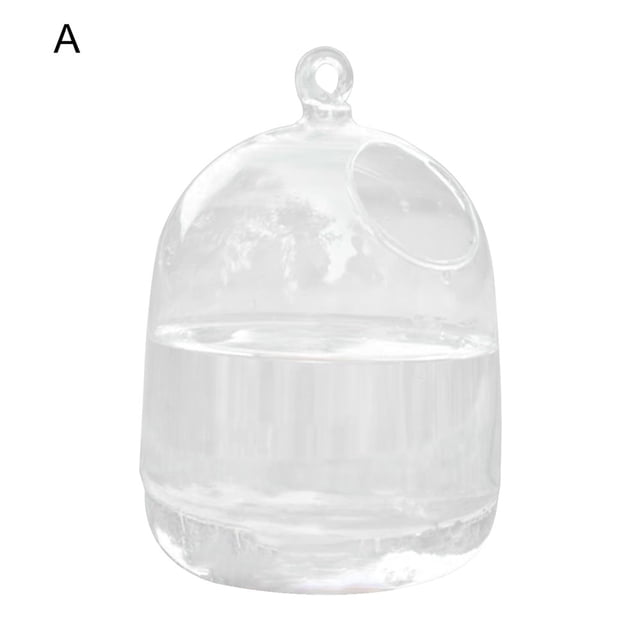 Vase Fishbowl Transparent Hanging Glass Creative Decor Fish Tank for Living Room