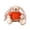 F, variant on Bunny Stuffed Animals Cute Plus-H Rabbit Toys Soft Toys and Stuffed Animals Suitable for Friends and Family of All Agessoft Stuffed Animal