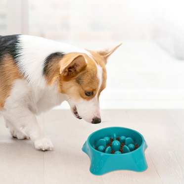 Wzzjkit Bol de Nourriture Lente pour Animaux, Bol pour Chien Anti-Déversement, Petit Chien Chiot, Bol de Nourriture Lente Antidérapant pour Animaux, Bol d'Alimentation Lente pour Chien Moyen Grand
