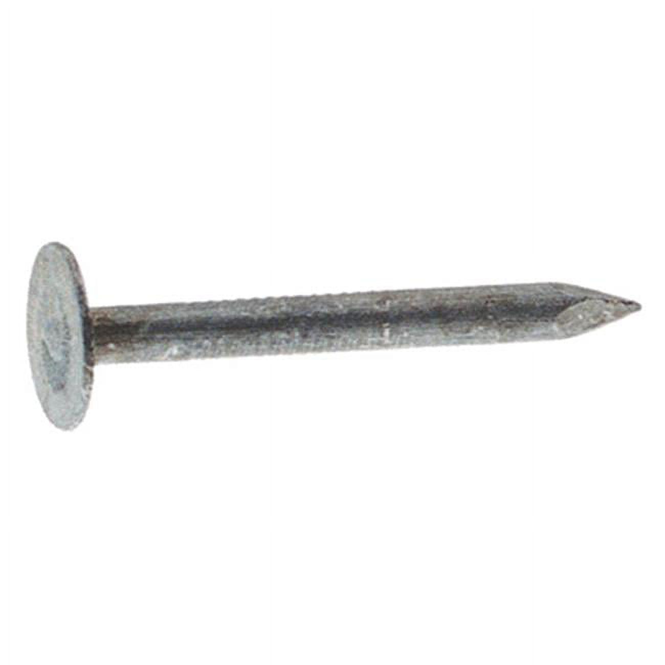 Hillman Fixations 461513 Clous de Toit Galvanisés de 2,5 Po