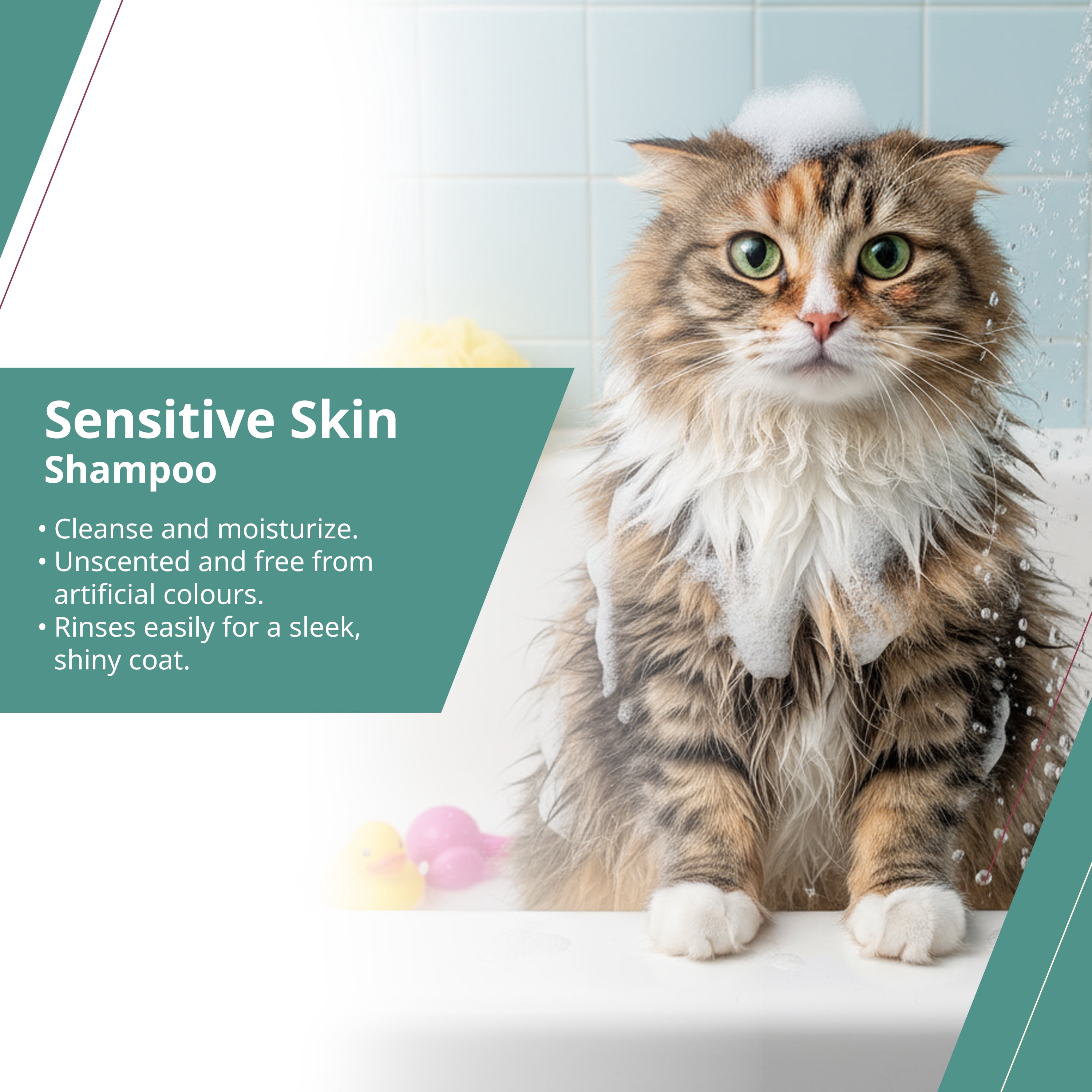 Wahl Shampooing pour Chat à Peau Sensible, 455mL