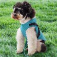 thumbnail image 4 of Xingzhi Polyester Easy To Clean And Maintain Lightweight And Breathable Dog Raincoat Is All Weather Stylish grey XXL, 4 of 6