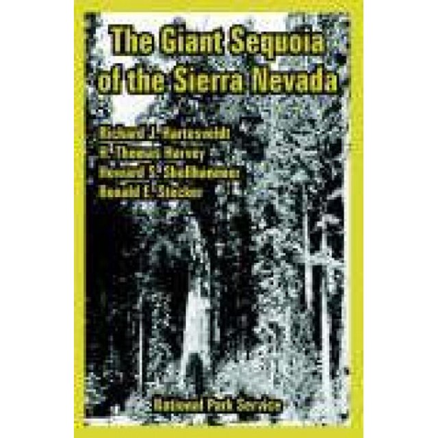 Le Grand Séquoia de la Sierra Nevada