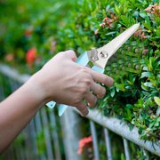 LSLJS Garden Pruning Shears Stainless Steel Blades Handheld Pruners Premium Bypass Pruning Shears for Your Garden, Gardening Scissors