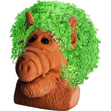 Alf Chia Pet Decorative Pottery Planter
