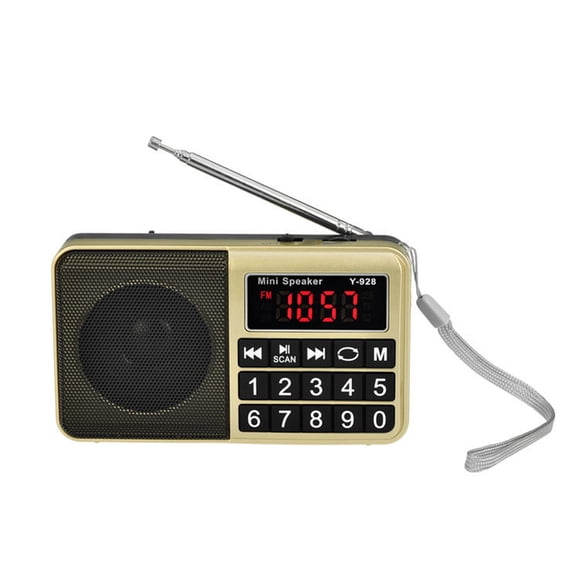 FM Portable Radio,Shortwave Radio with The Best Receiving Effect,Headset Output/AUX Input/MP3/External Speaker/TF Card,Stores Stations Automatically and Powered by Lithium Battery