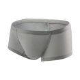 thumbnail image 1 of Birdeem Ice Silk Thin Style Traceless Boxers Business Breathable Mens Summer Comfortable Boxers, 1 of 3