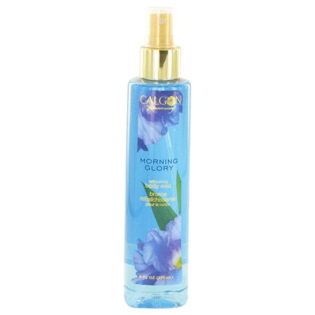 (Lot de 6) Calgon Take Me Away Brume pour le Corps Morning Glory par Calgon 8 oz