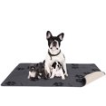 thumbnail image 1 of Pet Training Pad Reusable Absorbent Dog Training Pad Pet Pee Pad Puppy Pad, 1 of 2