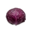 thumbnail image 2 of Red Cabbage, Sold in singles, 1.12 - 1.33 KG, 2 of 5