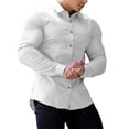 thumbnail image 1 of Pompotops Men Casual Solid Turn-down Collar Button Long Sleeve Shirt on Sale, 1 of 8