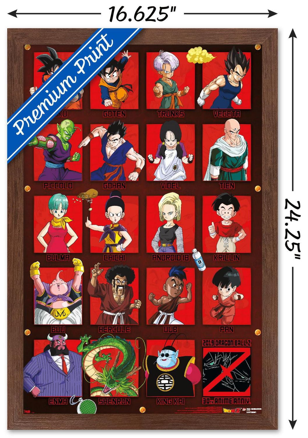 Dragon Ball Z - Anniversaire