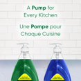 thumbnail image 4 of Palmolive Strength Dish Soap 828mL, 4 of 9