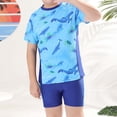 thumbnail image 2 of PMVFHDE Boys Plus Size Swimwear | Quick-Dry Two-Piece Swimsuit Set | Solid Color Summer Swim Trunks & Rash Guard Blue-D,160, 2 of 6