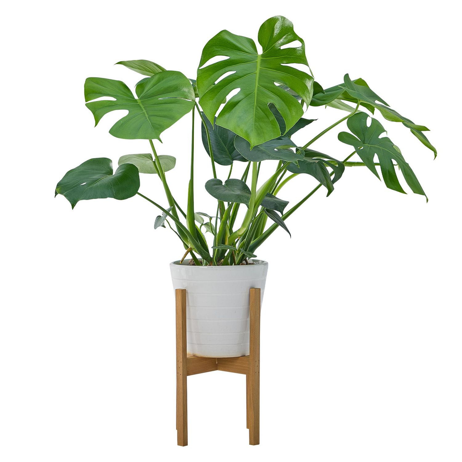 Mainstays 8 in Indoor Wood Plant Stand Brown