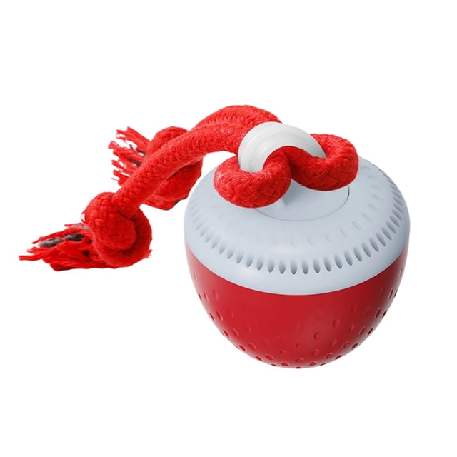 Dvkptbk Interactive Dog Toys Ball pet supplies